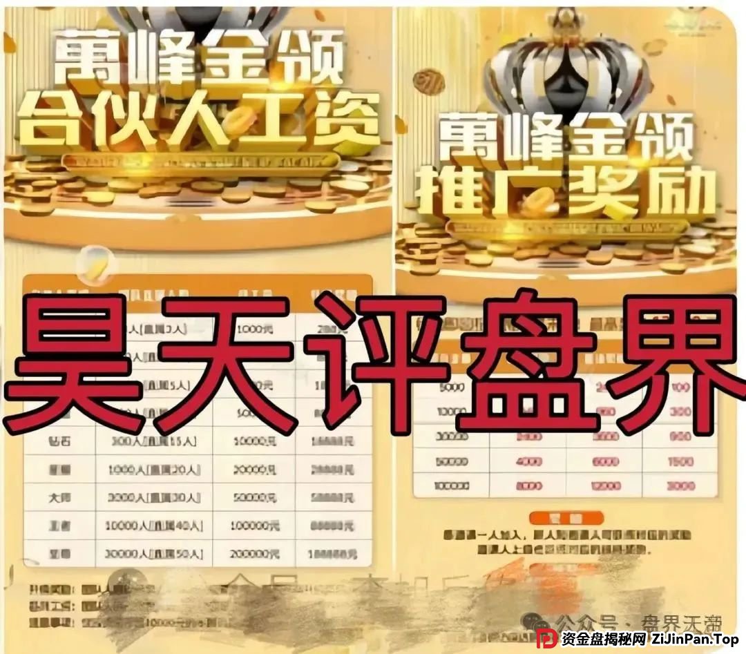 万峰金领资金盘内幕：天帝独家揭秘这个即将跑路的杀猪盘