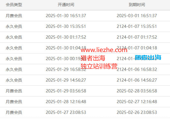独立站常见赚钱方式（三）：销售虚拟资源/虚拟产品