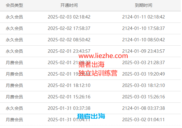 独立站常见赚钱方式（三）：销售虚拟资源/虚拟产品