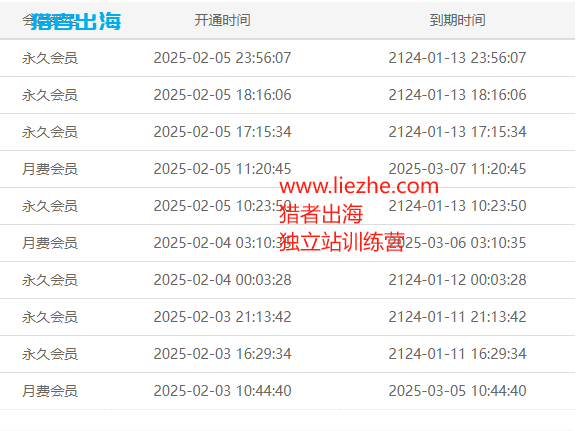 独立站常见赚钱方式（三）：销售虚拟资源/虚拟产品