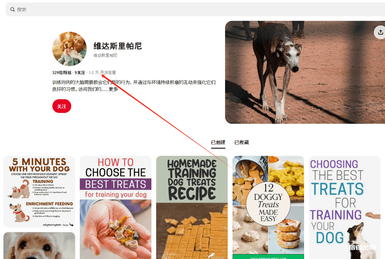 利用Pinterest推广宠物电子书赚钱，每月收入675美金