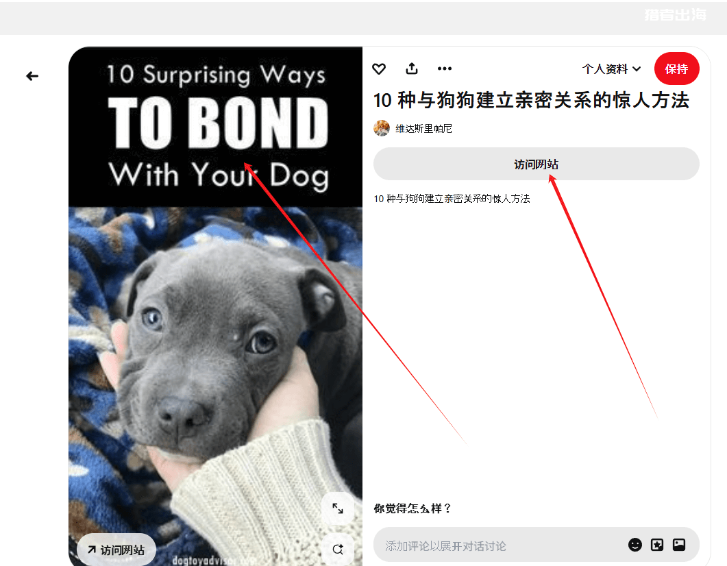 利用Pinterest推广宠物电子书赚钱，每月收入675美金