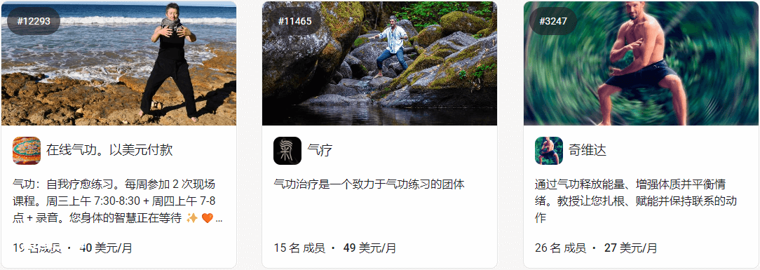 中国传统文化出海，利用国外知识星球社群Skool赚美金