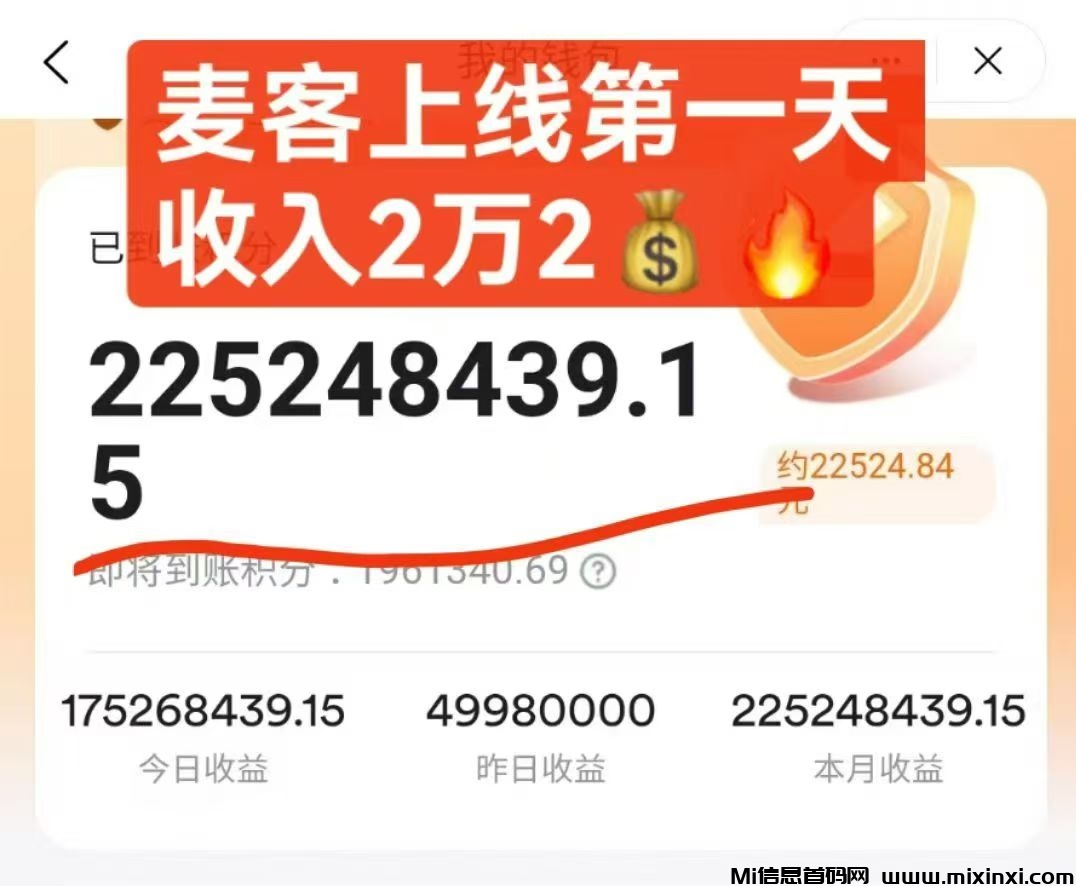麦客，全新模式，大神全程带你搞钱，可零撸！
