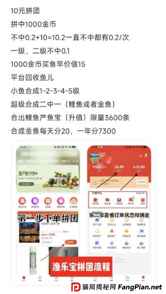 “渔乐宝”紧急预警：号称“拼团养鱼”实为传销资金盘，这套路专坑熟人！(3)